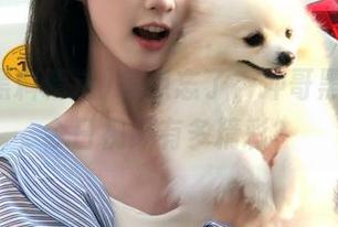 差点忘了，冲哥黑料精选今日视频有多精彩？