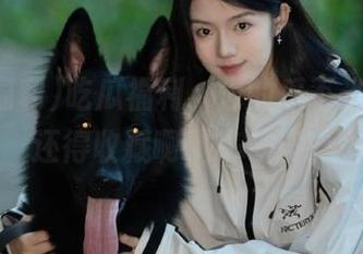 吃瓜福利，你的瓜不光要吃，还得收藏啊，来一波！