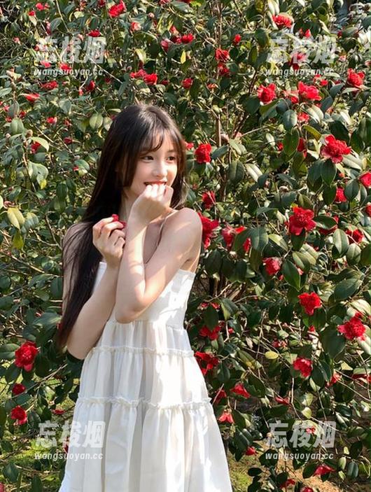 “最新吃瓜网页”情报局：那些个网红居然如此努力为我们带来“衰”事！