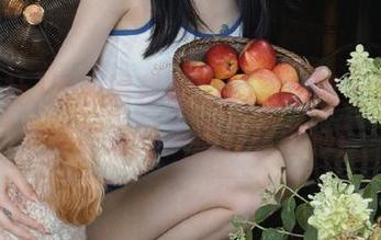 疑似黑料社app新功能上线，下载即刻揭开一层神秘面纱！